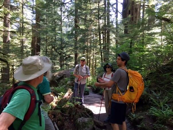 A group of hikers with backpacks and hats stand on a forest trail surrounded by tall trees and greenery, engaged in conversation.