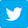 White Twitter bird logo on blue background.