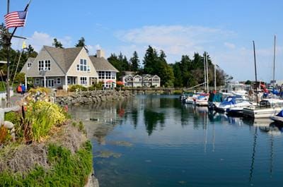 A scenic view of a waterfront with houses, boats docked along the shore, and an American flag on the left side. Trees line the background under a partly cloudy sky.