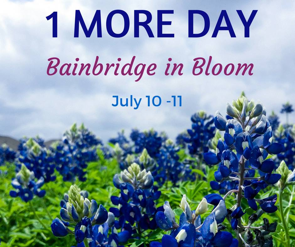 1 MORE DAY Bainbridge in Bloom July 10-11" with a background image of blue, lupine flowers in a green field under a cloudy sky.