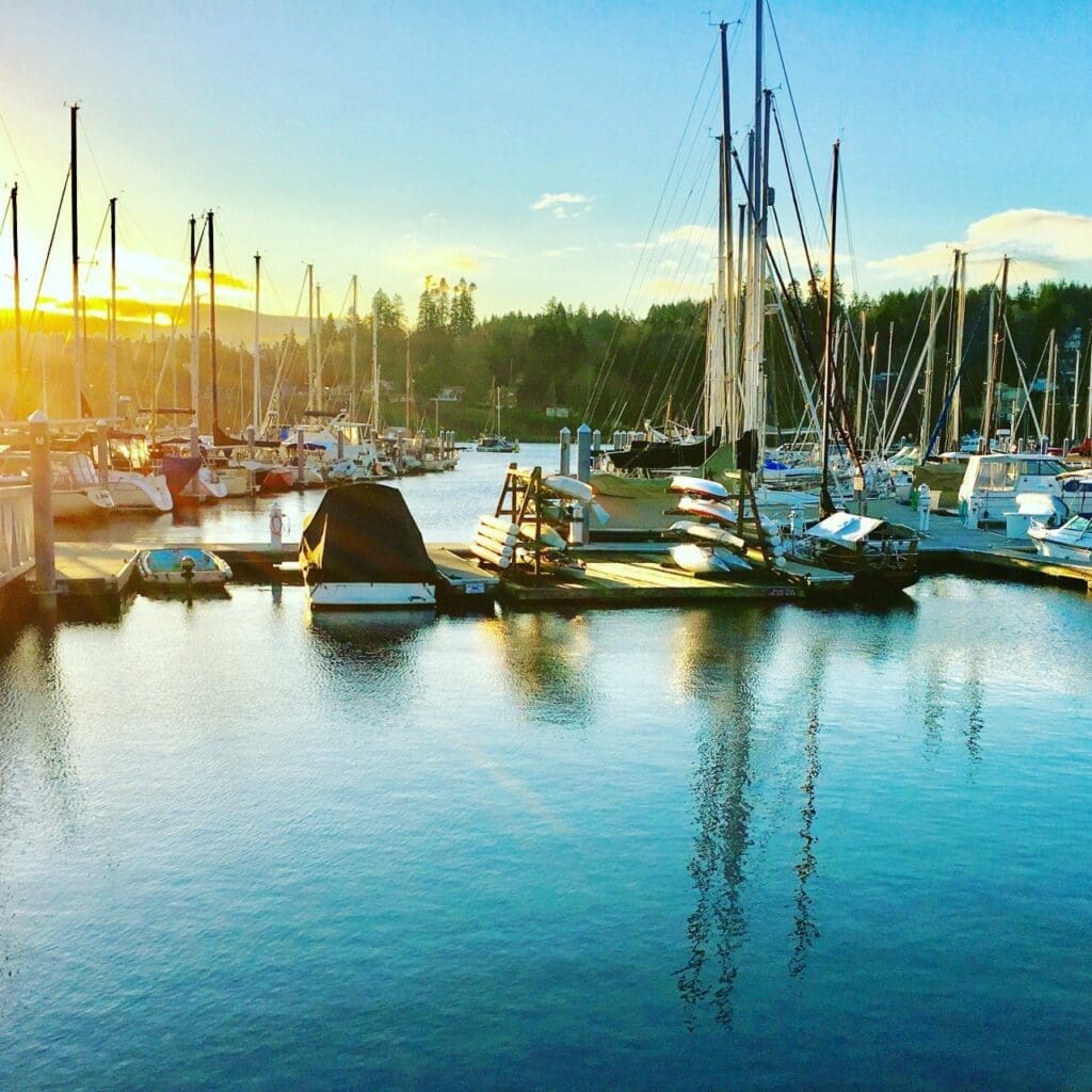 A marina at sunset with numerous sailboats docked, calm water reflecting the boats and the golden sky, and a forested shoreline in the background.