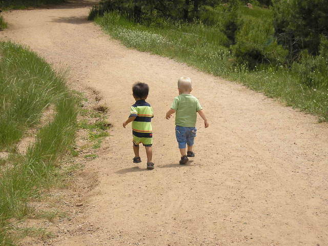 Two young children walking on a gravel path surrounded by greenery, with their backs to the camera.