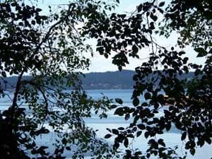 View of a lake through the gaps in lush tree foliage, with distant hills visible under a partly cloudy sky.