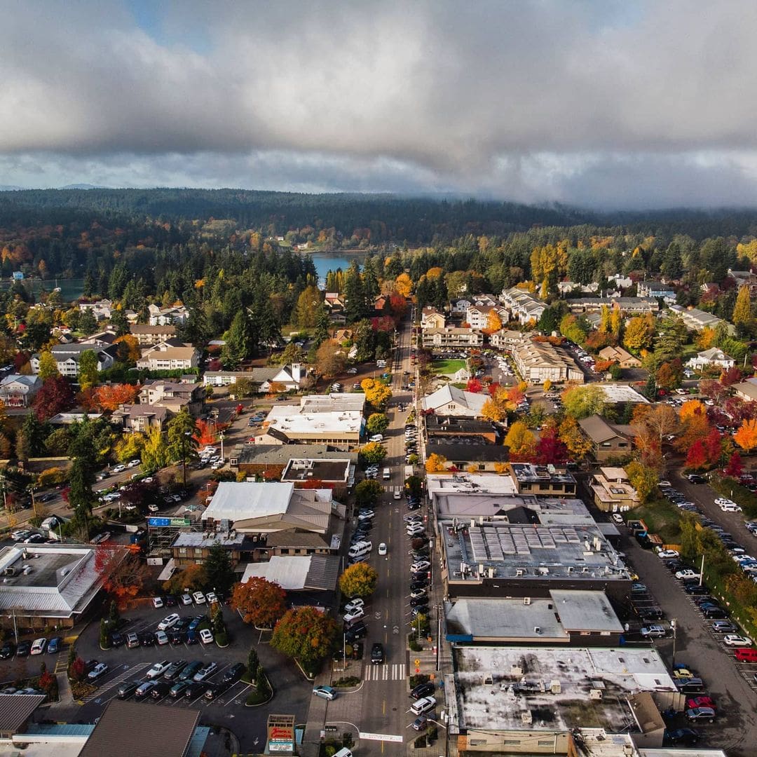 Aerial view of a small town with buildings, streets, parked cars, and numerous trees. A body of water and forested area are visible in the background under partly cloudy skies.