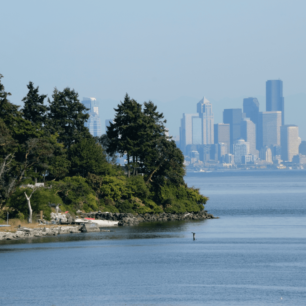 A coastal landscape with trees and rocky shoreline in the foreground, and a distant view of a city skyline across the water. Birds are flying above the water.