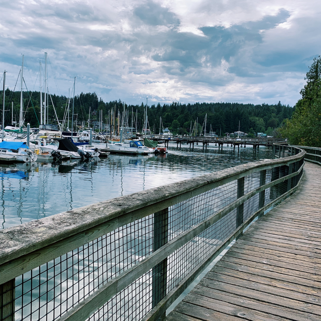 Real Estate Notifications Instagram Post (13) Wooden boardwalk with a wire fence curves along a marina filled with sailboats and docks, bordered by trees and under a cloudy sky.