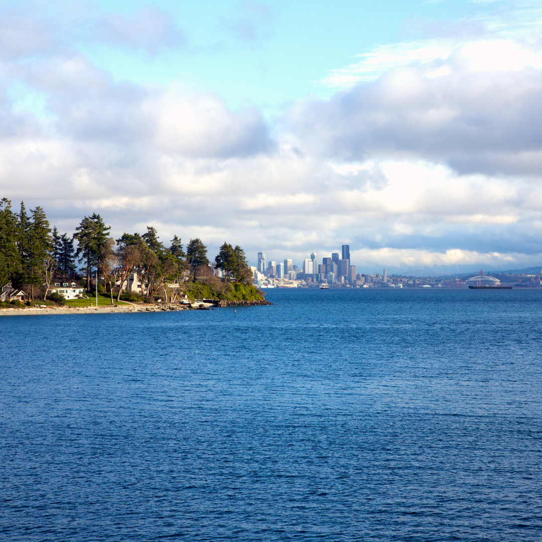 Real Estate Notifications Instagram Post (14) A view of a tree-lined shoreline with houses on the left, large body of blue water in the foreground, and a city skyline with tall buildings in the distance under a partly cloudy sky.