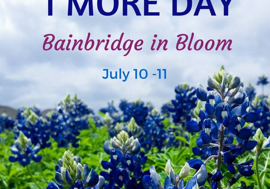 1 MORE DAY Bainbridge in Bloom July 10-11" with a background image of blue, lupine flowers in a green field under a cloudy sky.