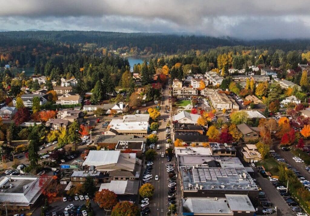 Aerial view of a small town with buildings, streets, parked cars, and numerous trees. A body of water and forested area are visible in the background under partly cloudy skies.