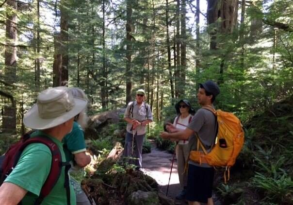 A group of hikers with backpacks and hats stand on a forest trail surrounded by tall trees and greenery, engaged in conversation.