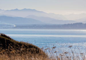 Landscape view of a calm river with a grassy foreground, distant hills, and hazy mountains in the background under a clear sky.