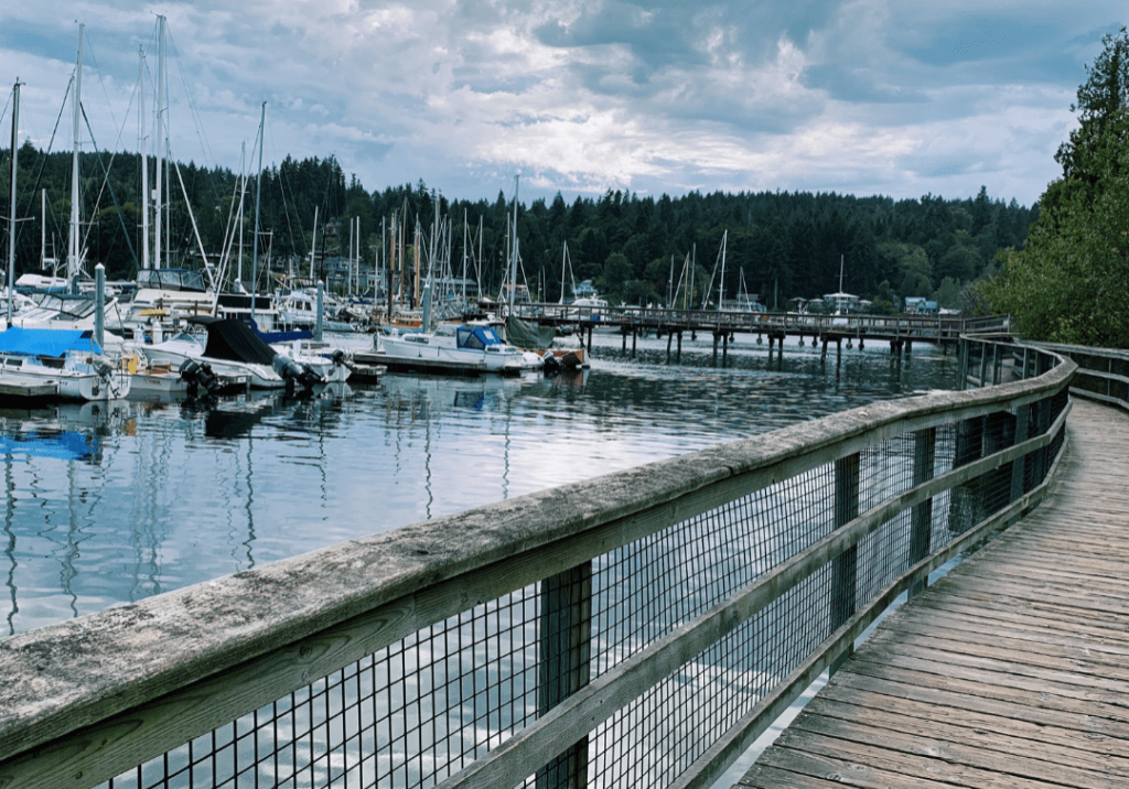 Real Estate Notifications Instagram Post (13) Wooden boardwalk with a wire fence curves along a marina filled with sailboats and docks, bordered by trees and under a cloudy sky.