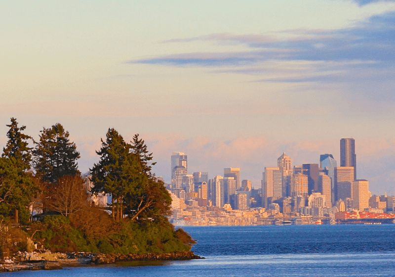 Skyline of a city with tall buildings viewed across a body of water, with trees and greenery in the foreground.