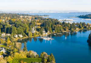 Aerial view of a coastal area with numerous houses, dense tree cover, and small marina docks. The distant city skyline and open water are visible in the background under a clear sky.