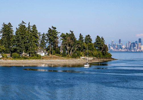 Island with houses and sailboat, city skyline in distance.