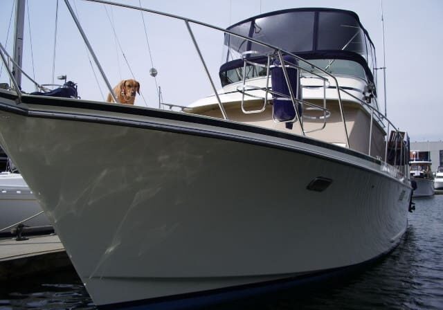 A motor yacht is docked at a marina. A dog is sitting at the bow, looking over the railing.