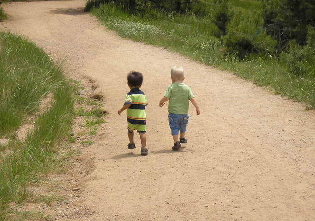 Two young children walking on a gravel path surrounded by greenery, with their backs to the camera.