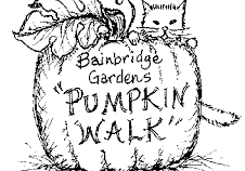 Black and white illustration of a cat peeking out from behind a large pumpkin with text reading "Bainbridge Gardens Pumpkin Walk.